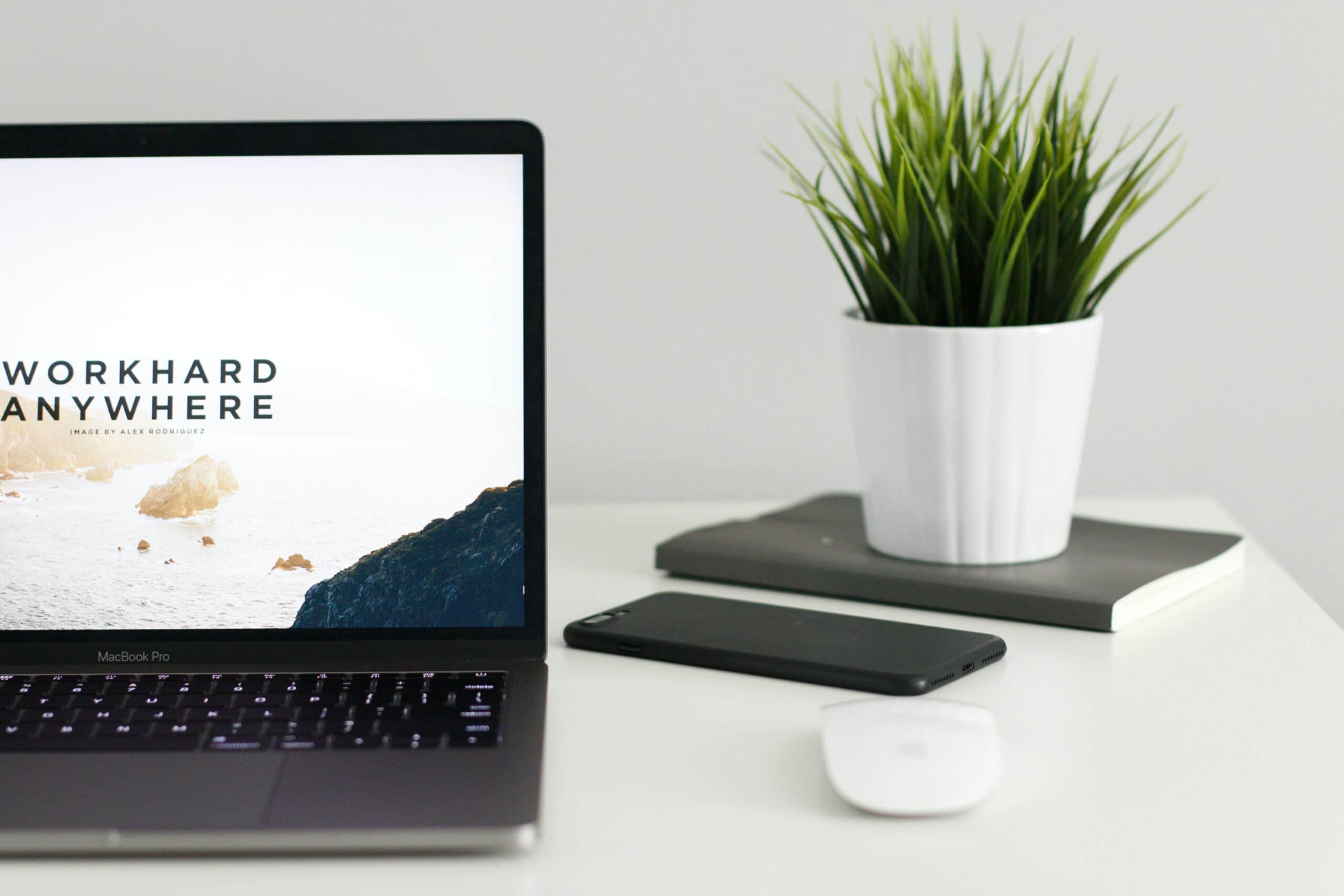 kevin-bhagat-zNRITe8NPqY-unsplash kevin-bhagat-zNRITe8NPqY-unsplash