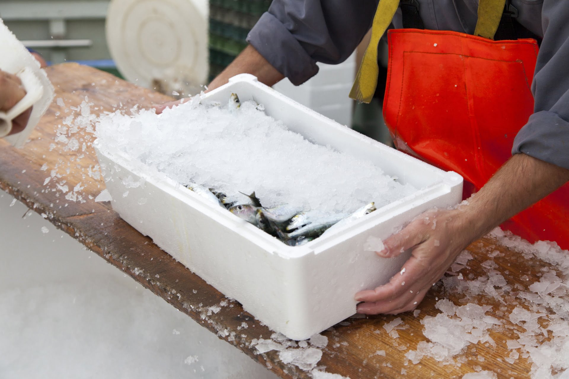 บริการขนส่งแบบไหน เหมาะกับขนส่งอาหารทะเลแช่แข็ง