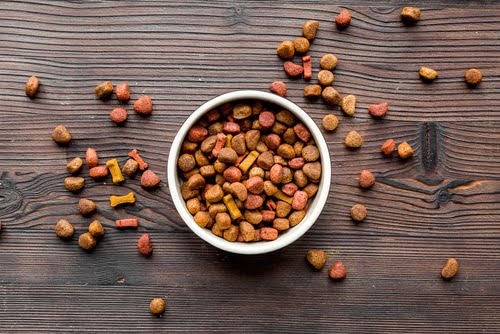 dry dog food,อาหารสัตว์แบบแห้ง
