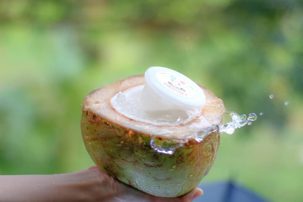 Young coconut pudding