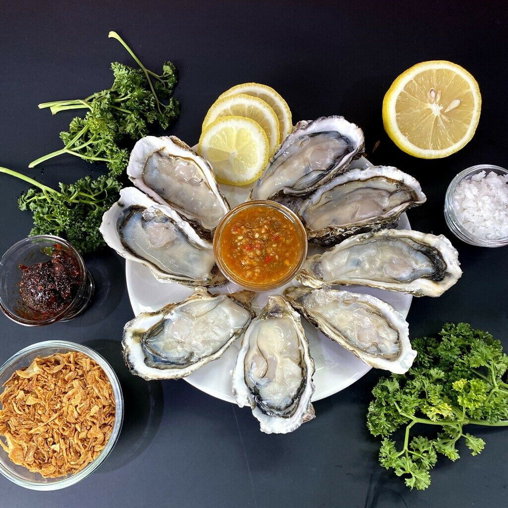 oyster