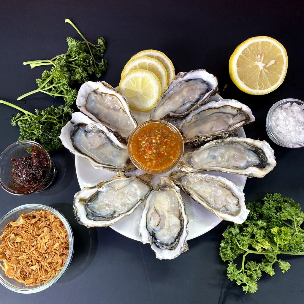 oyster