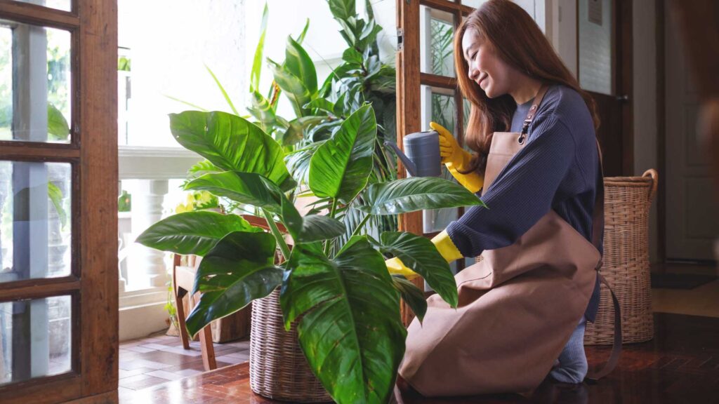 ต้นไม้ ของขวัญวันแม่