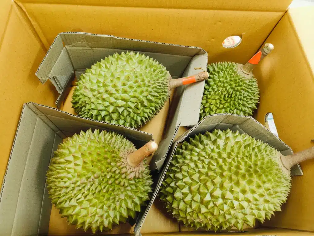 Makesend ขนส่งทุเรียน